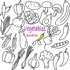 Hand drawn set of vegetables doodles. Vector illustration on white background.