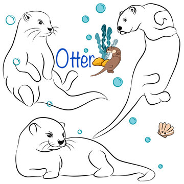how to draw a sea otter step by step for kids