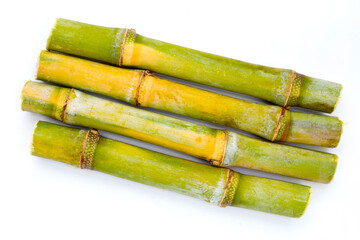 Sugar cane on white background.