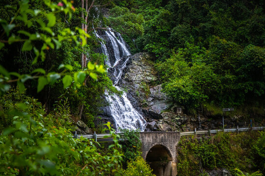 Beautiful massive waterfall next to the road; Newell Falls roadside cascade along Waterfall Way. Scenic drive in NSW, Dorrigo National Park, Australia 
