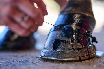 Painting Horse Hoof Black