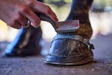 Wire Brushing Horse Hoof with Pads