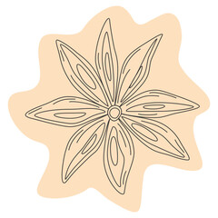 Contour drawing of star anise on abstract backdrop. Spicy spice for coffee or mulled wine. Sticker