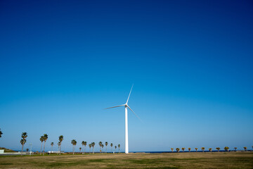 青空とヤシの木と風力発電所
