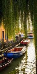 Fototapeta na wymiar Little venice with a willow tree and boats in a narrow canal. Created with Generative AI technology. 
