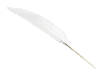 Obraz premium Beautiful white bird feather isolated on white