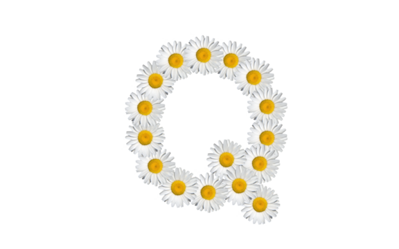 floral alphabet letter a