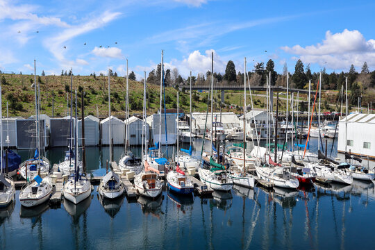 Boats in marina in Ruston Way