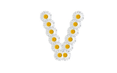 floral alphabet letter a