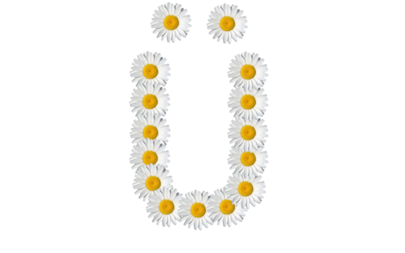floral alphabet letter a