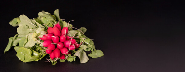 A bunch of radishes with green leaves on a black background