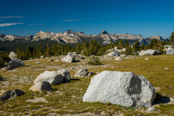 Large Boulder Sits in Grassy Field on the way to Ragged Peak