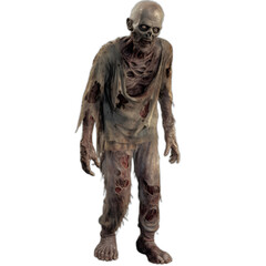 Fototapeta premium zombie from the walking dead series