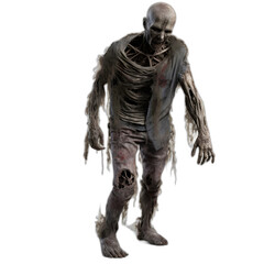 Fototapeta premium zombie from the walking dead series