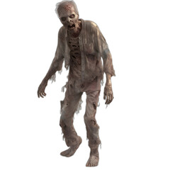 zombie from the walking dead series