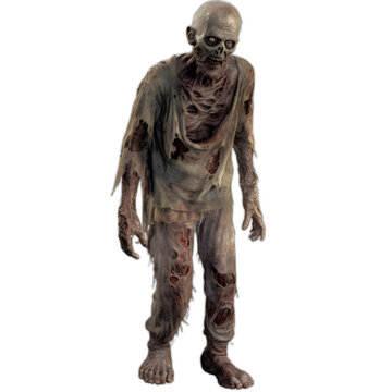 zombie from the walking dead series