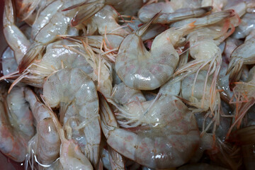 Photo of fresh raw prawns on a plate ready to be cooked