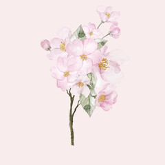 Naklejka na ściany i meble simple elegant watercolor cherry blossom bouquet