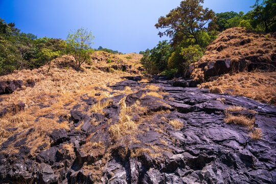 Charmadi Ghat, Mudigere, Karnataka india- 11th april 2023 : Charmadi ghat, one of the western ghat section of south karnataka, India.