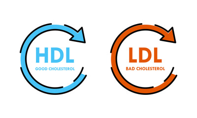 Good HDL and bad LDL cholesterol design template illustration