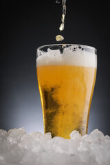 グラスに注がれた生ビール　draft beer	
