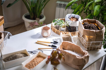Table with fillers for houseplant transplant in boxes and paper bag gardening hobby top view