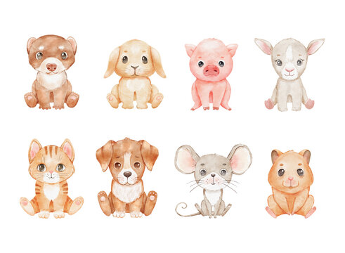 Cute cartoon cat, dog and rabbit isolated on white. Watercolor pet kitten and farm animal is sitting. Childish funny characters set
