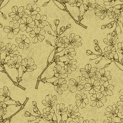 Fototapeta premium Seamless pattern Sakura with cherry tree blossom. Vintage hand drawn vector illustration in sketch style.