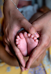 Newborn baby feet in female hands - obrazy, fototapety, plakaty