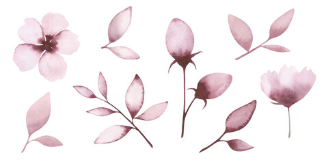 A set of beautiful, delicate, isolated on a white background, watercolor, textural, lilac, pink flowers, branches with buds and leaves. Drawn by hand. For holiday, wedding, decoration and design.