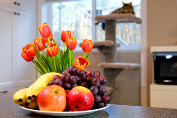 room on table apples grapes bananas red pink tulips with yellow edging cat sits in the background white kitchen cabinets against the window beautiful home furnishings