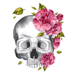 Skull with pink carnation flowers. The day of the Dead. Watercolor illustration for Halloween design. Isolated white background.