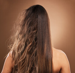 Frizz, heat damage and hair of a woman isolated on a brown background in a studio. Back, salon...