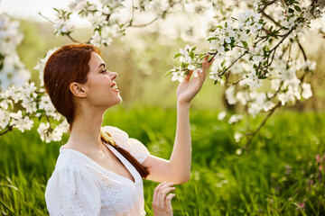 sweet, beautiful woman in a light short dress touches the branches of a flowering tree