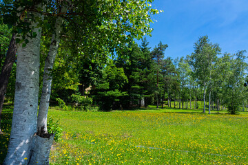 Obraz premium OLYMPUS DIGITAL CAMERA