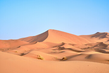 Fototapeta na wymiar Landscape shot of Dunes in the Sahara desert, Morocco, on a clear blue sky day.