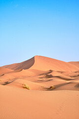 Portrait shot of dunes in the Sahara desert, Morocco, on a clear blue sky day.
