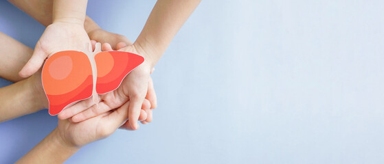 Hands holding healthy liver, organ donation, hepatitis vaccination, liver cancer treatment, world hepatitis day