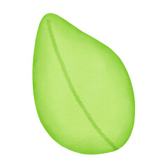 light green leaf watercolor illustration