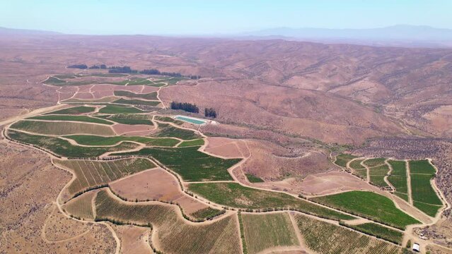 Bird's eye view establishing an oasis-like vineyard hidden among the arid mountains of the Fray Jorge, Limar&iacute; Valley, Chile