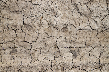 dry earth texture