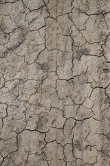 dry earth texture