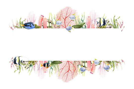 Horizontal banner with underwater corals, plants and tropical fish. Hand drawn watercolor illustration isolated on white