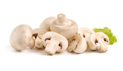 Champignons, close-up, isolated on white background.