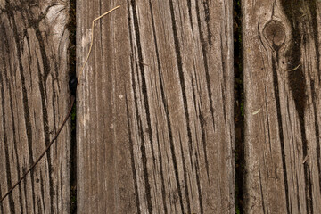close-up of detaild brown wooden background