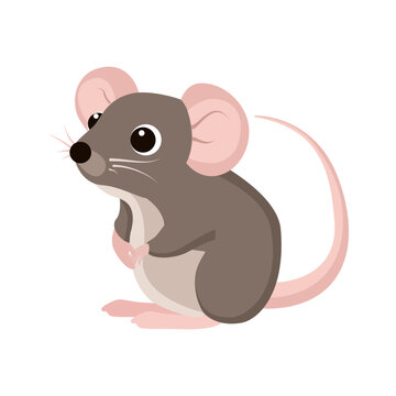 Rat. Cartoon vector drawing, rat on white background. Rodent. Animal. Used for collage, printing, sticker design.