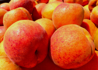 Healthy, fresh ripe yellow and orange apricots. closeup view. selective focus. blurred background. healthy eating concept. organic fruits. sweet and juicy. botanical name Prunus armeniaca. summer sun