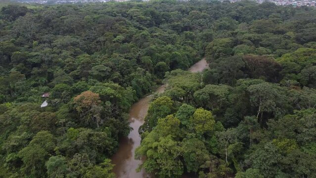 Aerial view of river with cloudy water color in tropical amazon rainforest, 4K