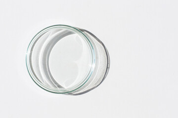 Empty Petri dish. On a white background. Bright sunlight. Deep shadows. Contrast. Laboratory. Petri dishes.