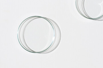 Empty Petri dish. On a white background. Bright sunlight. Deep shadows. Contrast. Laboratory. Petri...